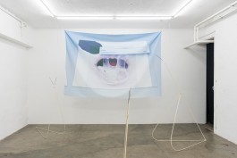 art eva funk heartbreaker dreammaker Artist  Eva Funk