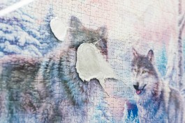 art heartbreaker dreammaker eva funk artists unlimited Artist  Eva Funk