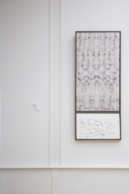 Artwork Lucid Pigeon by Eva Funk Artist  Eva Funk