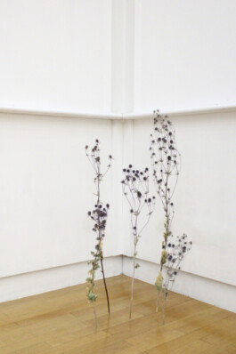 Installationview Nische by Eva Funk Artist  Eva Funk