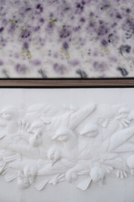 Detail Artwork Lucid Dreaming Pigeon by Eva Funk Artist  Eva Funk