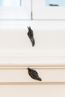 schneck Installationview Nische by Eva Funk Artist  Eva Funk