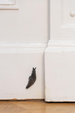 schneck Installationview Nische by Eva Funk Artist  Eva Funk